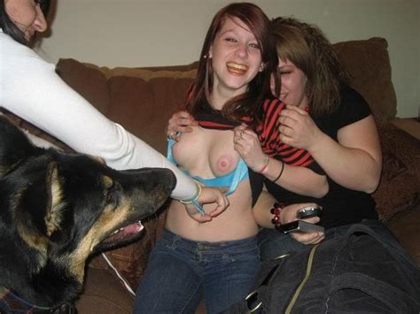 Canidae Dog Breed Dog Fun Porn Pic Eporner