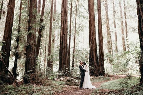 Best Redwood Forest Wedding Venues In California Redwood Forest