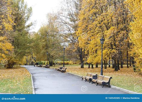 City Park In The Fall Benches In The Autumn Park Stock Image Image