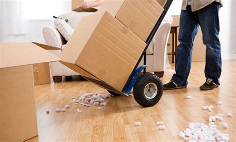 Logical Tips On Moving House Icezen