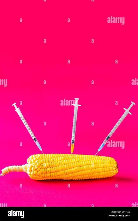 Genetically Engineered Hi Res Stock Photography And Images Alamy