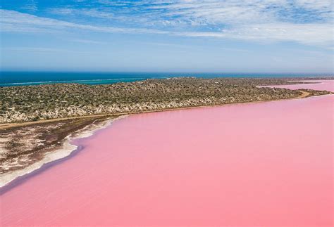 Aggregate 89 About Pink Lakes South Australia Best Nec