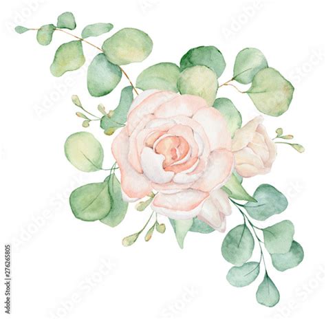 Pink Roses Arrangements Watercolor Blush Roses With Eucalyptus Leaves 4d1