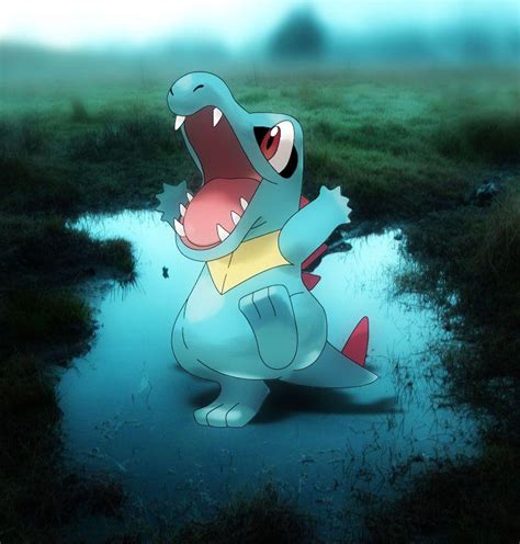 Wallpapers Totodile Wallpaper Cave