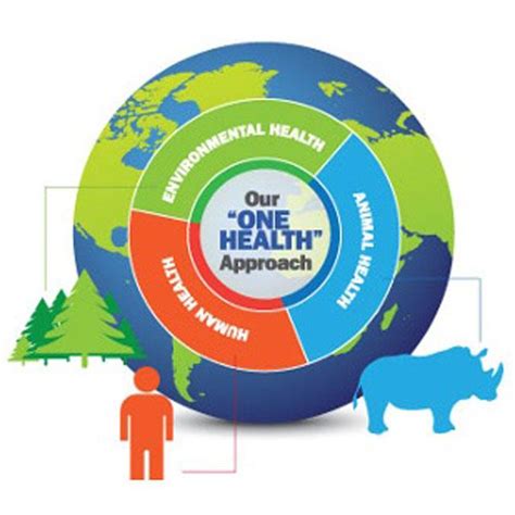 One Health Offers Multisectoral Approaches In A Changing World Global