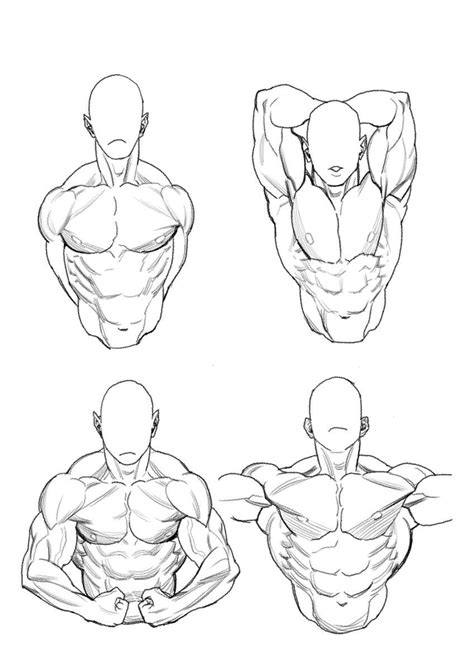 Drawing Human Sketch Muscles Sketch Drawing Idea