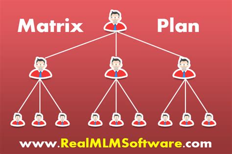 Matrix Plan Mlm Software Matrix Multi Level Marketing Plan Software