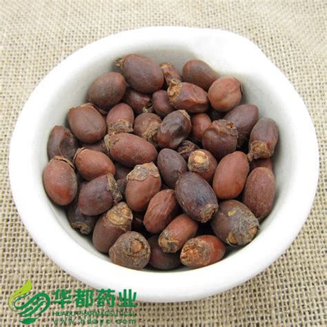 Semen Litchi 荔枝核 Li Zhi He Buy Chinese Herbs Product On Hebei