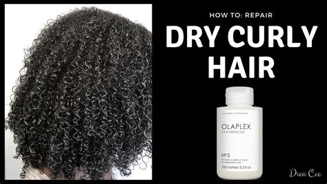 How To Fix Dry Curly Hair With Olaplex No 3 YouTube