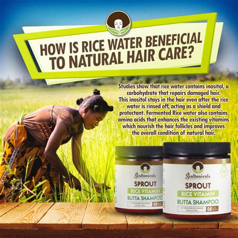 Our New Sprout Collection Is Hair — Soultanicals