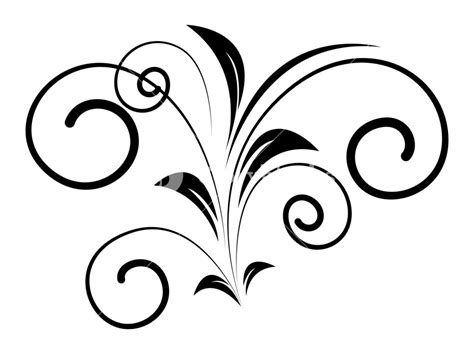 Decorative Swirl Design Vector Art Royalty Free Stock Image Storyblocks