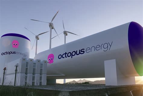 About Us Octopus Energy Nz