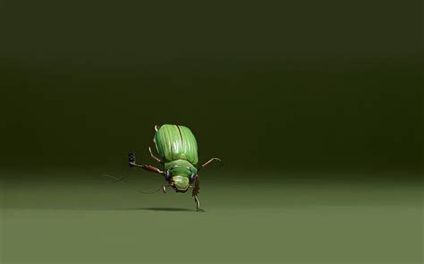 Bug Dance Bug Insect Dance Green Hd Wallpaper Peakpx