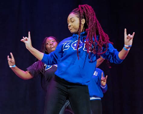 Capital Region Step Teams Compete At Black History Event