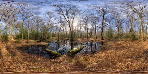 360 Hdri Panorama Of Autumn Forest In 30k 15k And 4k Resolution