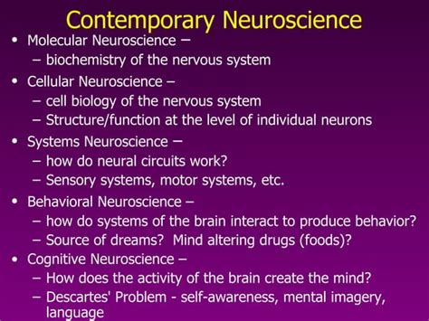 Introduction To Neuroscience