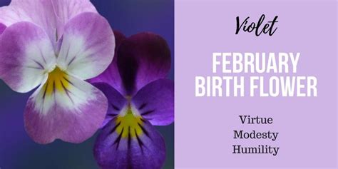 Discover Your Birth Flower February Birth Flowers Birth Flowers
