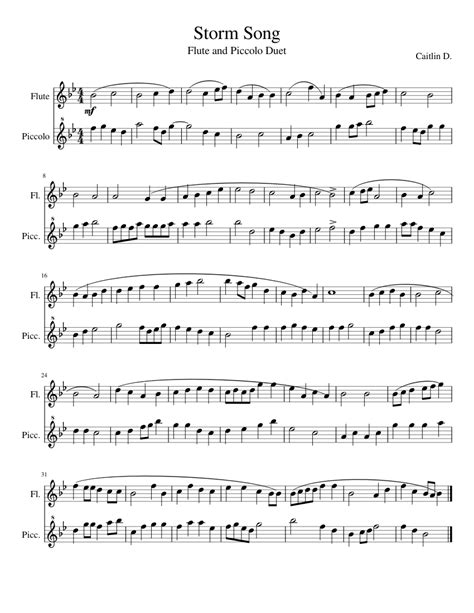 Storm Song Flute And Piccolo Duet Sheet Music For Flute Piccolo