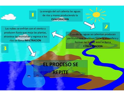 Evaporacion Condensacion Infiltracion Fases Del Ciclo Del Agua Map