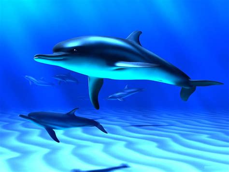 3d Dolphins Close Art Fish Cg Ocean Abstract Sea 3d Marine