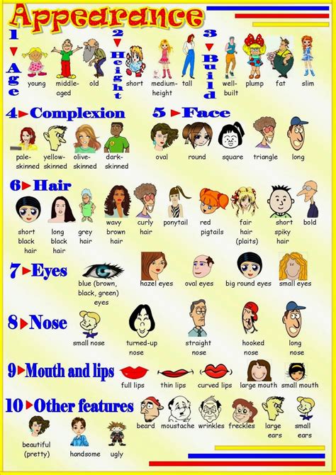 Describing People Physical Appearance Adjectives List Learn English