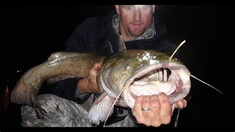 Big Flathead Kayaknucanoe Catch Allegheny River Pa Youtube