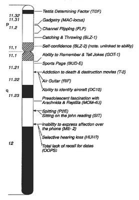 Chromosome Theory And Linkage