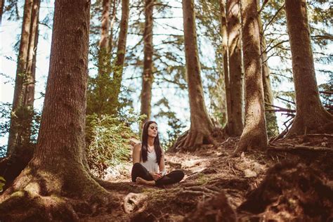 What On Earth Is Forest Bathing And How Can It Help Us