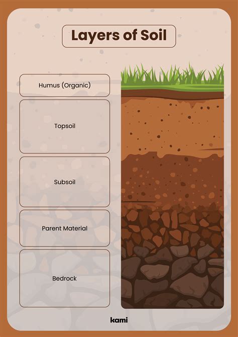 Layers Of Soil For Teachers Perfect For Grades 4th 5th 6th 7th