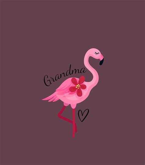 Pink Flamingo Grandma Digital Art By Manolq Chant Fine Art America
