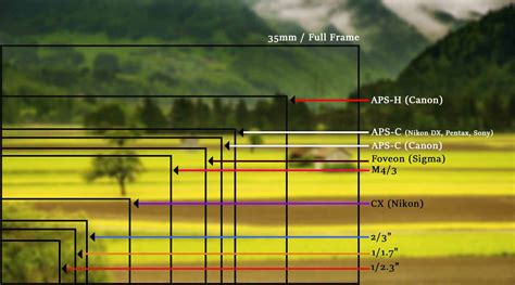 What Is Crop Factor In Photography A Beginners Guide Isolapse