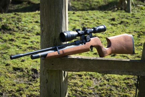 Best Pellet Rifle For Hunting In Pcp Nitro Rifles For Hunting Hot Sex Picture