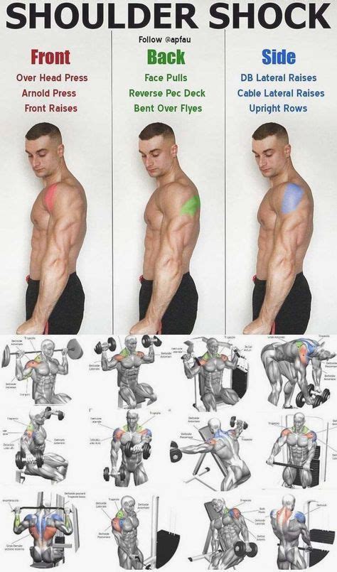 Schulter Übungen in 2020 mit Bildern Schultermuskeln trainieren