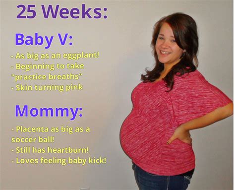 25 Weeks Pregnant Baby Weight Hiccups Pregnancy