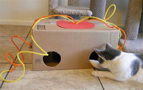 1001 ideen in inspirierenden bildern für katzenspielzeug selber machen katzen spielzeug