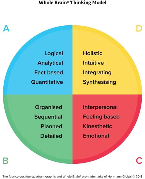 The steps in his productive thinking model are: Whole Brain® Thinking - Workplace Wellbeing