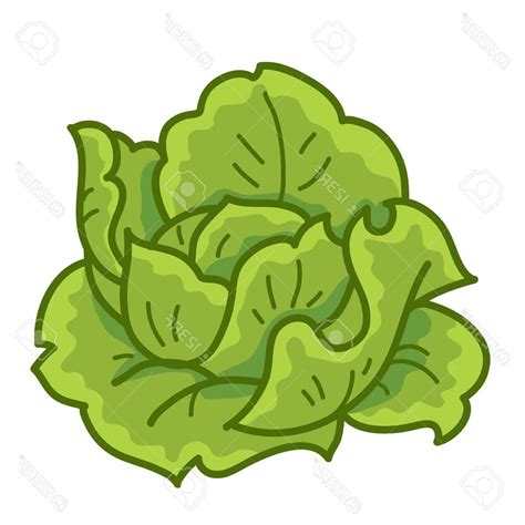 Clip Art Lettuce 20 Free Cliparts Download Images On Clipground 2023