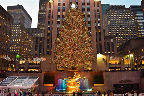 13 Terrific New York City Christmas Tours For 2023 — The Purposely Lost