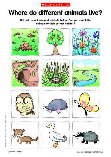 Animal Habitats Preschool Printables Yvonne Hazels Printable