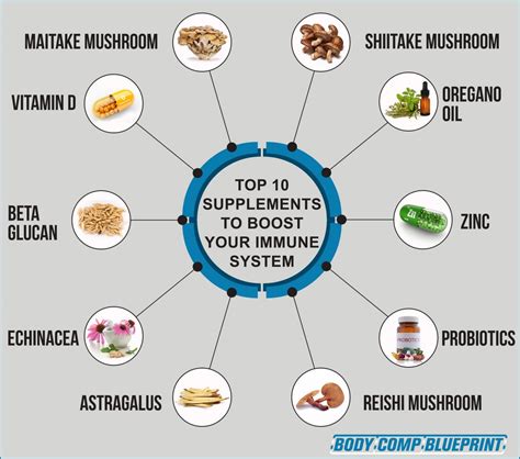 A healthy immune system is the bedrock of your body's health. The Top 10 Supplements to Boost Your Immune System ...