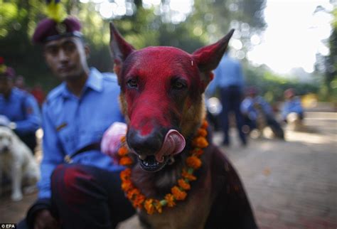 Diwali Celebrations Begin In Asia Daily Mail Online