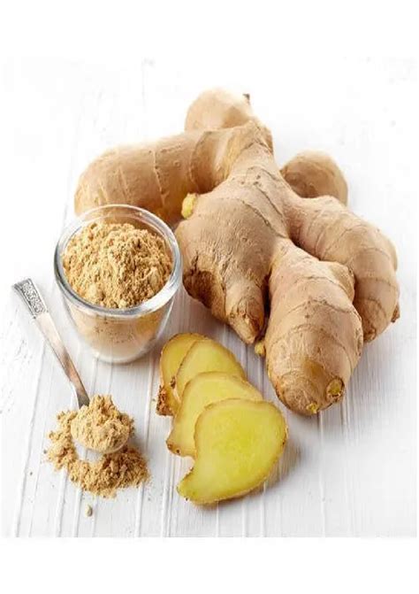 Ginger Extract Powder At Rs 500kg Ginger Root Extract In Surat Id
