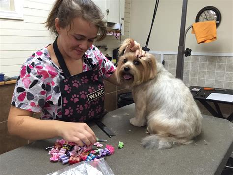 Free grooming to homeless pets for. Dog Grooming & Pet Salon in Moncton New Brunswick