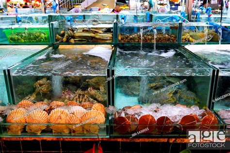 Firish Live Seafood Seafood Banzaan Fresh Market Patong Beach