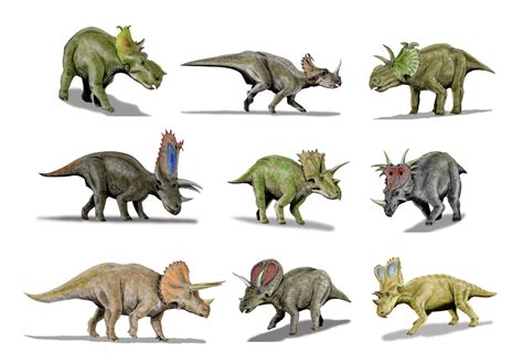 Dinosaurios Y Vida Prehistórica Triceratops