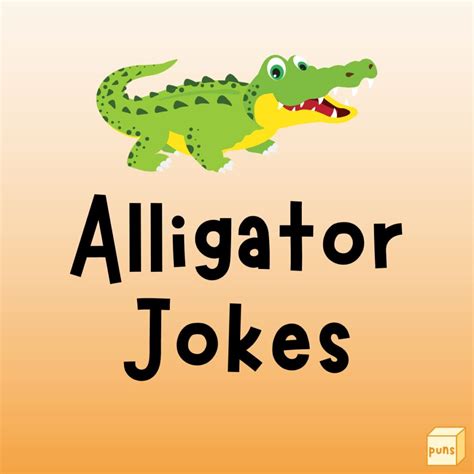 45 Hilarious Alligator Jokes Box Of Puns