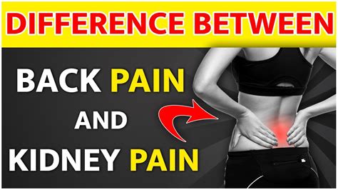 What Is The Difference Between Back Pain And Kidney Pain Kidney