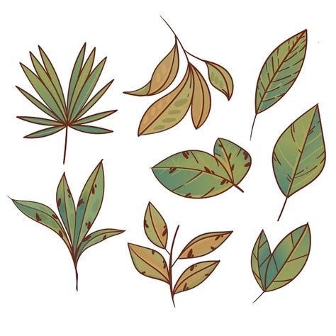 Free Vector Hand Drawn Leaves Collection