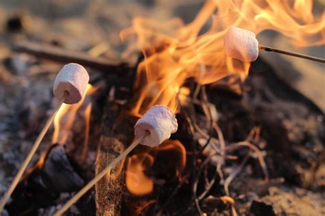 The Science Of Roasting The Perfect Marshmallow Koa Camping Blog Li