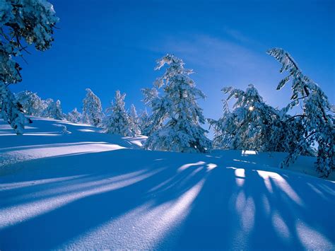 Winter Desktop Backgrounds ~ Free Wallpapers For PC